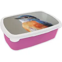 MuchoWow Broodtrommel Roze - Lunchbox Kleurrijk - Vogeltje - Veren - Blauw - Brooddoos 18x12x6 cm - Brood lunch box - Broodtrommels voor kinderen en volwassenen