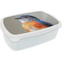 MuchoWow Broodtrommel Wit - Lunchbox Kleurrijk - Vogeltje - Veren - Blauw - Brooddoos 18x12x6 cm - Brood lunch box - Broodtrommels voor kinderen en volwassenen