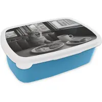 MuchoWow Broodtrommel Blauw - Lunchbox Kat - Koffie - Brood - Zwart - Brooddoos 18x12x6 cm - Brood lunch box - Broodtrommels voor kinderen en volwassenen