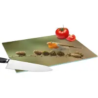 KitchenYeah Glazen Snijplank - 39x28 - Vogel - Roodborstje - Dennenappel - Tak - Herfst - Snijplanken Glas