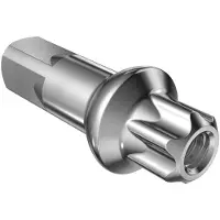 Dt Swiss Squorx Pro Head Anodized Nippels 100 Eenheden