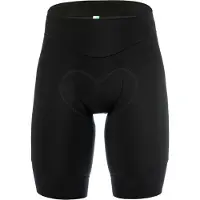 Q36.5 Gregarius Essential Fietsbroek