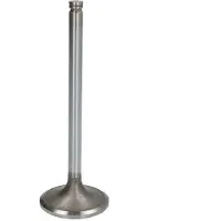 TRW 105-35617 Inlaatklep