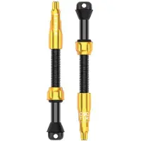Lezyne Pro Tubeless 60 Mm Kleppen