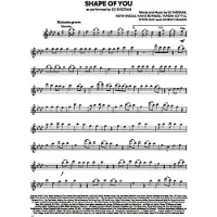 De Haske SUPER HITS FOR FLUTE