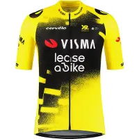 Tvl Team Visma Lease A Bike Replica Wingbeat Korte Mouw Wielertrui