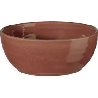Asa selection Kom Poke Dragonfruit 18 cm