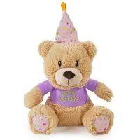 Rosewood Chubleez Bonnie Birthday Bear – Pluche Hondenspeeltje met Pieper – Zachte Knuffelbeer & Verjaardagscadeau voor Honden