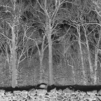 Konkurrent Pile - Sunshine And Balance Beams (LP)