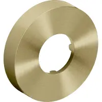 Clou Muurrozet 6cm, goud geborsteld PVD t.b.v. Mini Suk sifon