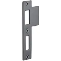 Formani Basics LBSPNYW sluitplaat tbv deursloten - PVD mat zwart/PVD gunmetal