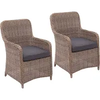 Mendler Set van 2 poly rotan stoelen -E98, rotan tuinstoel rieten stoel, gesponnen poly halfronde rotan MVG beige kussens grijs