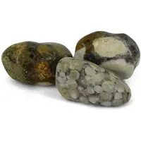 Spiru Trommelstenen Agaat Hersen (20-40 mm)