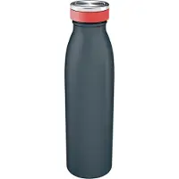 Leitz Cosy Dubbelwandige Geïsoleerde Waterfles, 500 ml - BPA-Vrij - Vaatwasserbestendig - Ideaal voor Thuiskantoor/Thuiswerken - Fluweel Grijs