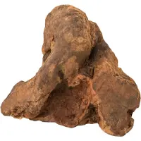 BUBIMEX - Mediterrane kauwwortel - Maat L - voor honden - 300-500 gram