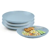 PlasticForte Rond bord/camping bord - 4x - D20 cm - ijsblauw - kunststof - onbreekbaar - servies