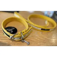 Department Dogs -hondenhalsband met riem-geel-riem 120cm x 3cm en 40cm tot 50cm