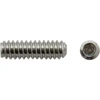 Göldo Madeschroeven Inbus 9 mm , nikkel - Gitaaronderdeel