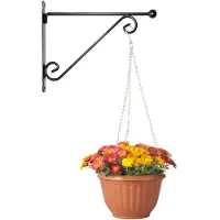 PlasticForte Hangpot + Muurhaak Siena - terracotta - D25 cm - kunststof - metaal - tuinaccessoires