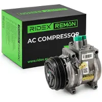 RIDEX 447K0313R Aircopomp