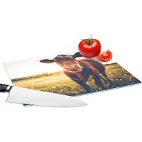 KitchenYeah Glazen Snijplank - 28x20 - Koe - Zonsondergang - Bloemen - Gras - Dieren - Snijplanken Glas