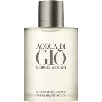 Giorgio Armani Acqua di Gio - After Shave 100ml