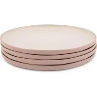 Jamie Oliver Perfect Plates Dinerborden, Set van 4 Stuks, Keramiek, Roze, 27 cm - | Big Love