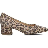 Peter kaiser Dames Hakken 72341 - Bruin - Maat 37,5