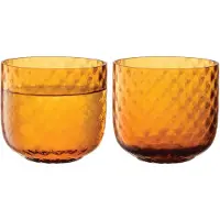 LSA International Waterglas L.S.A. Dapple Sun Amber 300 ml (set van 2)