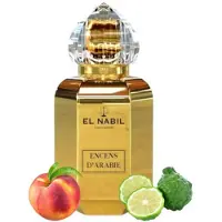 El Nabil Encens D'Arabie Eau de Parfum 65 ml