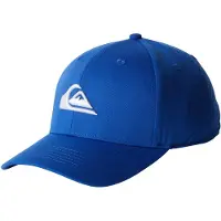 Quiksilver Decades Pet