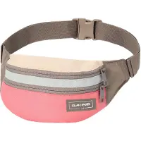 Dakine Classic T2-r Heuptas