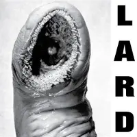 Kuroneko Media Cnt THE POWER OF LARD