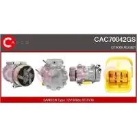 Casco CAC71000AS Aircopomp