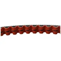 Gates Carbon Drive TANDRIEM GATES CDX 115 RED CDXBre115-AM