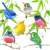 Ppd Lunch servetten - Bird Paradise