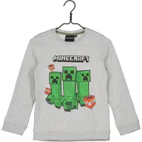 Minecraft kindertrui 12 jaar