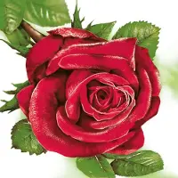 Maki Lunch servetten - Big Red Rose