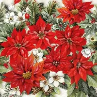 Ambiente - Lunch servetten - Poinsettia All Over