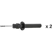 RIDEX 854S20962 Schokdemper