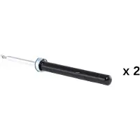 RIDEX 854S20805 Schokdemper