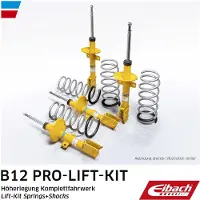 EIBACH E93-35-062-02-20 Schokdemper met veer