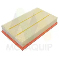 MOTAQUIP LVFA1673 Luchtfilter