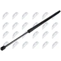NTY AE-FR-092 Gasveer achterklep