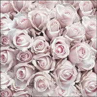 Ambiente Lunch Servetten - Pastel Roses