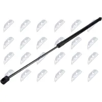 NTY AE-FR-088 Gasveer achterklep