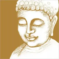 Ppd Lunch servetten - Buddha