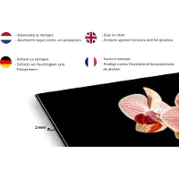 KitchenYeah Spatscherm keuken 120x80 cm - Kookplaat achterwand Bloemen - Orchidee - Roze - Botanisch - Natuur - Muurbeschermer - Spatwand fornuis - Hoogwaardig aluminium