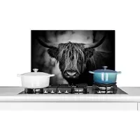 KitchenYeah Spatscherm keuken 60x40 cm - Kookplaat achterwand Schotse hooglander - Licht - Portret - Natuur - Muurbeschermer - Spatwand fornuis - Hoogwaardig aluminium