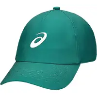 Asics Performance Pet